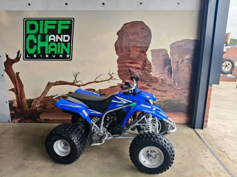 Yamaha BLASTER 200 Manual 2007