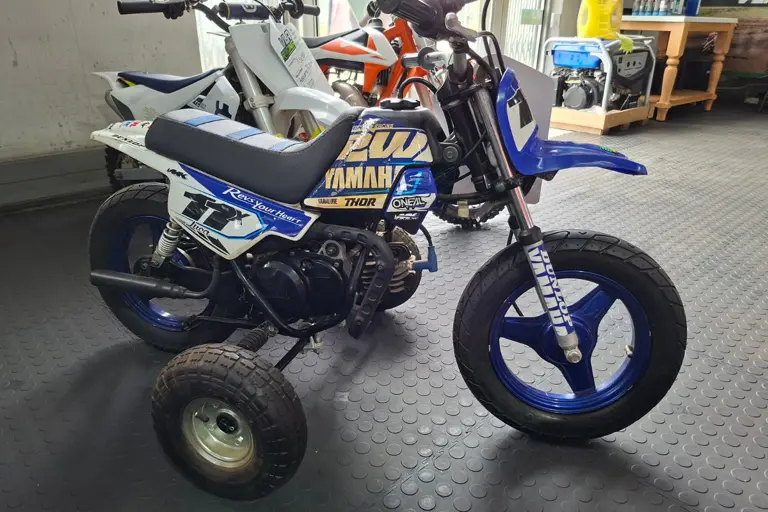 Yamaha PW 50 2019
