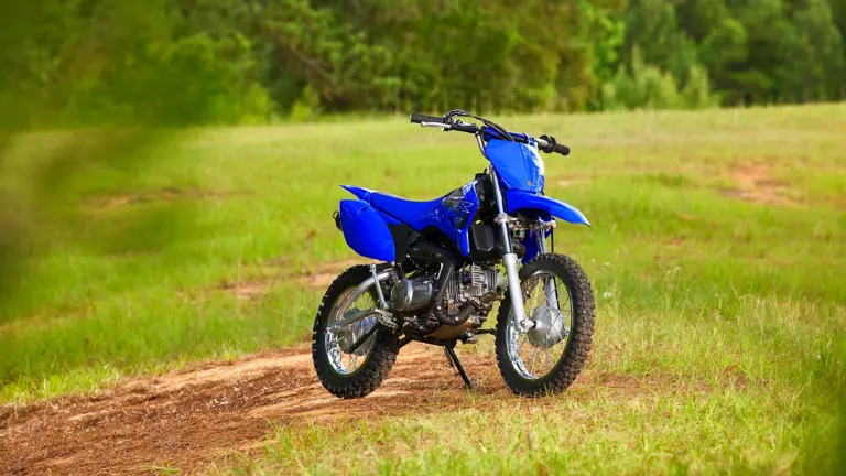 Yamaha TTR 110E 2026