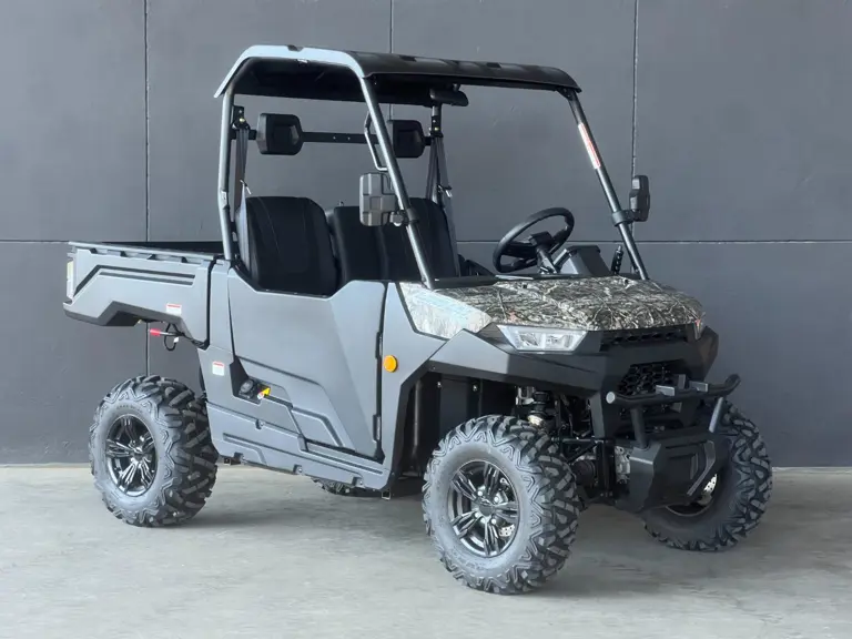 Linhai Electric 2017