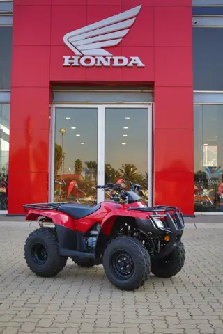 Honda TRX 250 TM