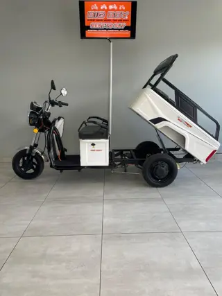 Big Boy Elec-Trike electrical