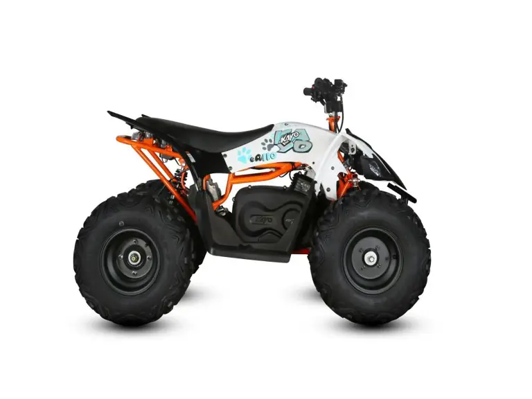 KAYO EA110 2026 KAYO EA110 2026