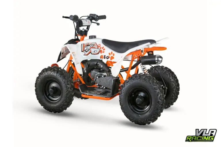 KAYO A 50 2026