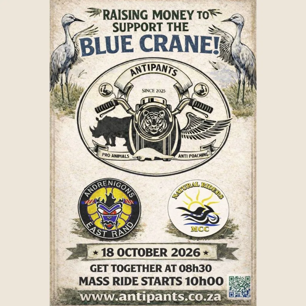 Raising Money to Support Blue Craine - Antipants