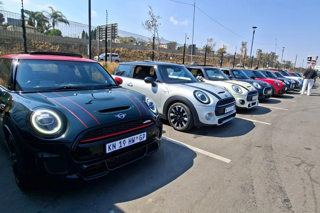 From One Obsessed Mini Owner to 60+ Members in Months